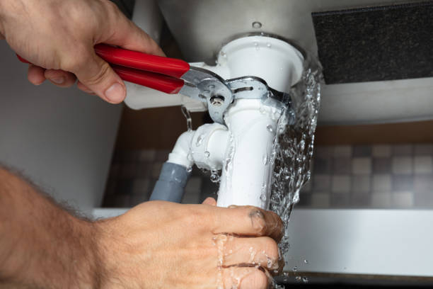 Best Flood restoration services  in Red Rock, AZ
