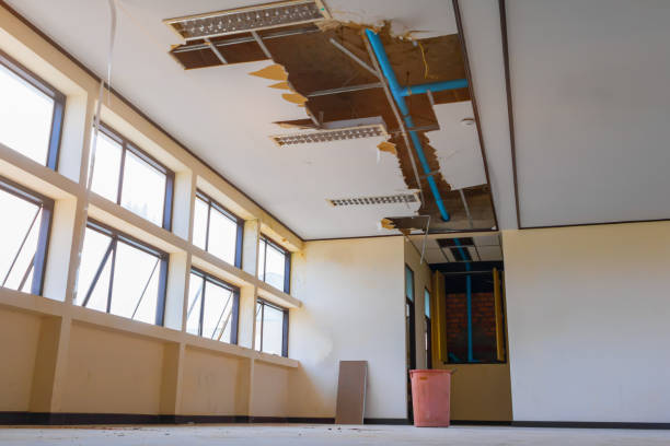 Best Water damage restoration specialists  in Red Rock, AZ