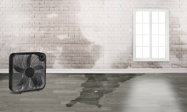 Best Residential water damage restoration  in Red Rock, AZ