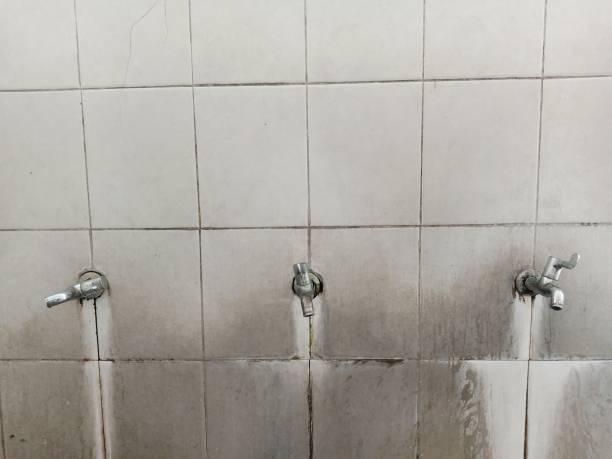 Best Water damage contractors near me  in Red Rock, AZ
