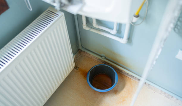 Best Local water damage restoration  in Red Rock, AZ